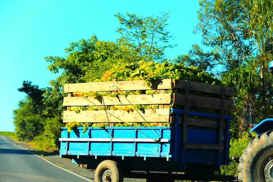Reliable Hauling Service Pompano Beach, FL Reliable Hauling Service Pompano Beach, FL